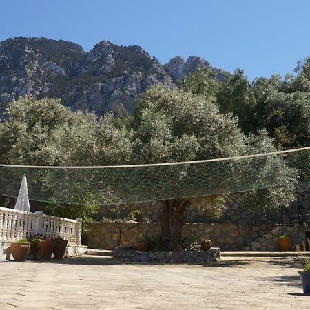 Villa Layla Kyrenia  Esterno foto